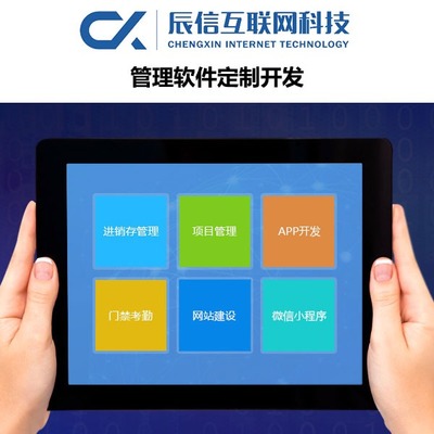 辰信互联网科技 专业企业软件开发，驱动数字化未来