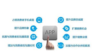 如何甄选优秀的企业软件开发公司 一份全面的判别指南